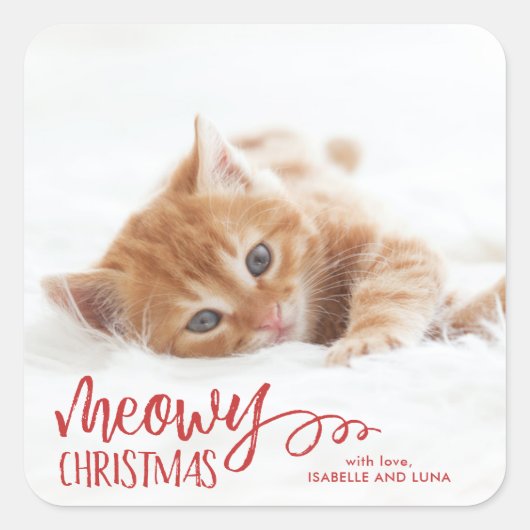 Carré Sticker de Noël pour animaux de compagnie Meowy (Devant)