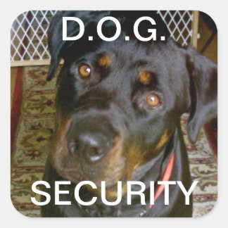 Carré Sticker DE SÉCURITÉ D.O.G. (rottweiler)
