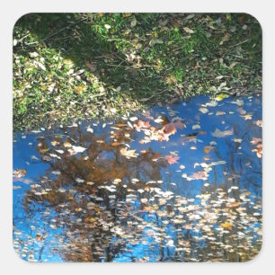 Carré Sticker de Thanksgiving d'automne Miroir Mirror