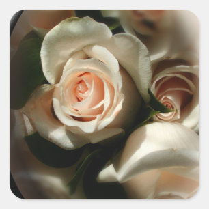 Carré Sticker d'enveloppe Rose souple