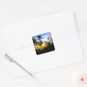 Carré Sticker d'impression Tropical Sunset (Enveloppe)
