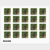 Carré Sticker Elk (Feuille)