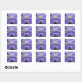 Carré Sticker en Merci de Fleur Clematis violet (Feuille)