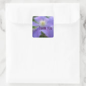 Carré Sticker en Merci de Fleur Clematis violet (Sac)