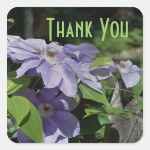 Carré Sticker en Merci violet Clematis