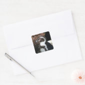 Carré Sticker en pingouin (Enveloppe)