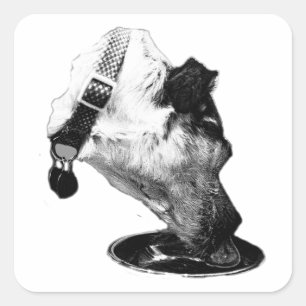 Carré Sticker en vinyle mélangé Terrier de soif