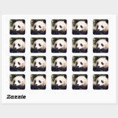 Carré Sticker Faune Blanc Douce Panda Ours Visage (Feuille)