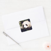 Carré Sticker Faune Blanc Douce Panda Ours Visage (Enveloppe)