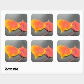 Carré Sticker feuille (Feuille)