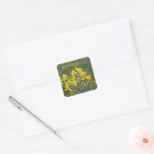 Carré Sticker Fleur sauvage jaune (Enveloppe)