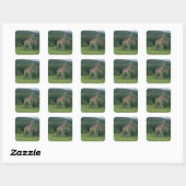 Carré Sticker Giraffe (Feuille)