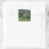 Carré Sticker Giraffe (Sac)