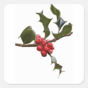 Carré Sticker Holly Berries