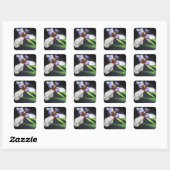 Carré Sticker Iris étonnant (Feuille)