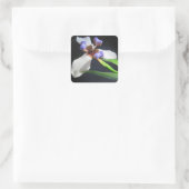 Carré Sticker Iris étonnant (Sac)