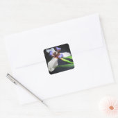 Carré Sticker Iris étonnant (Enveloppe)