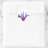 Carré Sticker Iris Flowers (Sac)