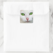 Carré Sticker Kitty "Green Eyes" (Sac)