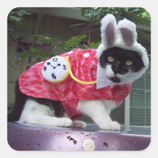 Carré Sticker lapin blanc