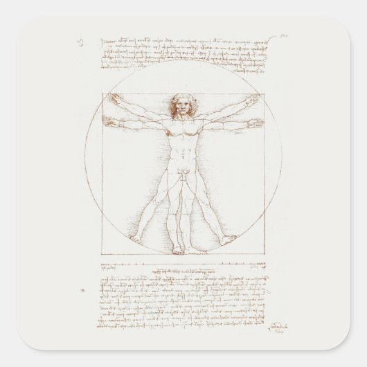 CARRÉ STICKER : LEONARDO DA VINCI : VITRUVIAN MAN (Devant)