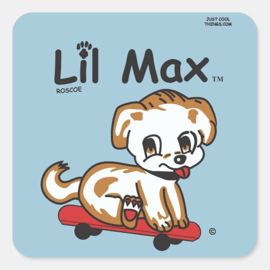 Carré Sticker Lil Max (Devant)