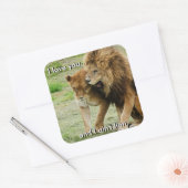 Carré Sticker Lion et Lioness (Enveloppe)