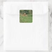 Carré Sticker Lion Yawn (Sac)