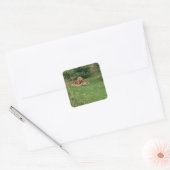 Carré Sticker Lion Yawn (Enveloppe)