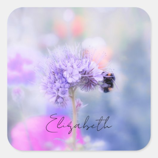 Carré Sticker Little Bee (Devant)
