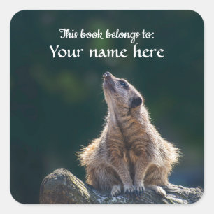 Carré sticker Little Meerkat "Ce livre appartient à"