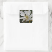 Carré Sticker Magnolia Star Blanc (Sac)
