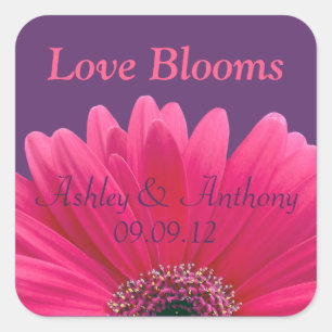 Carré Sticker Mariage rose Gerbera Daisy