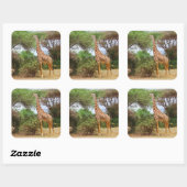 Carré Sticker Masai Giraffe (Feuille)
