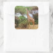 Carré Sticker Masai Giraffe (Sac)