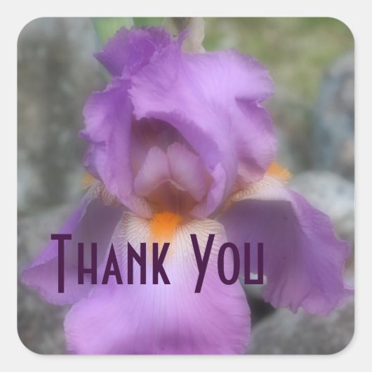 Carré Sticker Merci Fleur Iris Lavender (Devant)