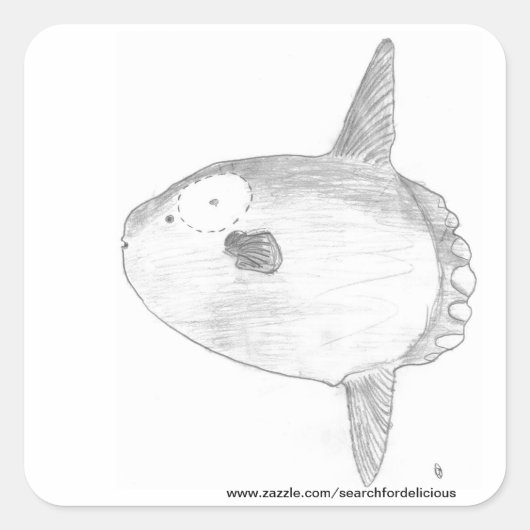 Carré Sticker Mola Mola (Devant)