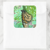 Carré Sticker papillon (Sac)