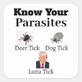 Carré Sticker Parasites (Devant)