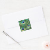 Carré Sticker Peacock (Enveloppe)