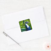 Carré Sticker Peacock bleu moderne (Enveloppe)