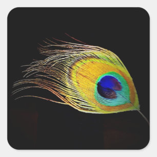 Carré Sticker Peacock's Feather