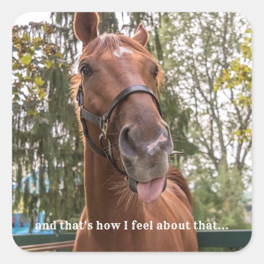 Carré Sticker photo Drôle Cheval Sticker (Devant)