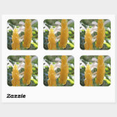 Carré Sticker Plante de crevettes dorées (Feuille)