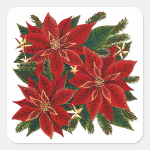 Carré Sticker Poinsettia Rouge