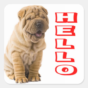 Carré Sticker pour chien de chiot / Sceau pour chien de