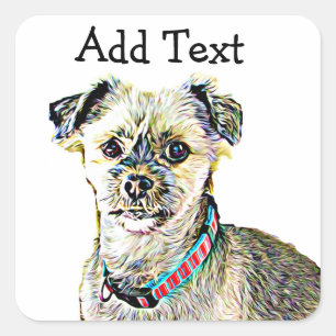Carré Sticker pour chien drôle Lhaso Apso ou Shitzu Pers