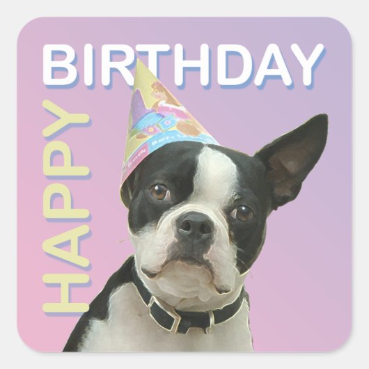 Carré Sticker pour l'anniversaire de Boston Terrier (Devant)