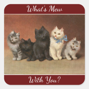 Carré Sticker pour les chats