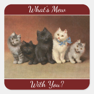 Carré Sticker pour les chats